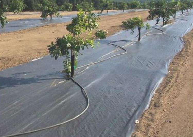 防草布、除草布