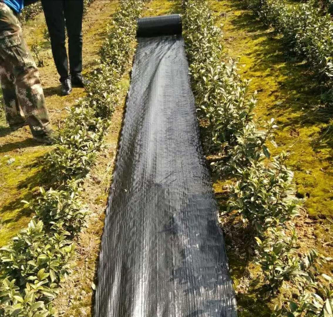 防草布、除草布
